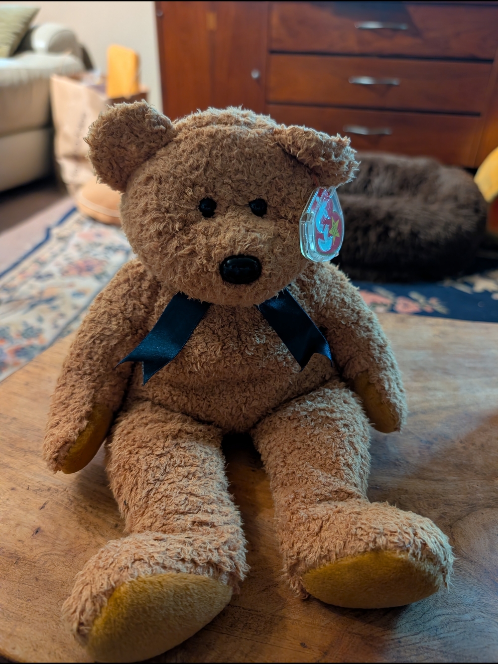 Ty Beanie Baby 13" Fuzz The Teddy Bear